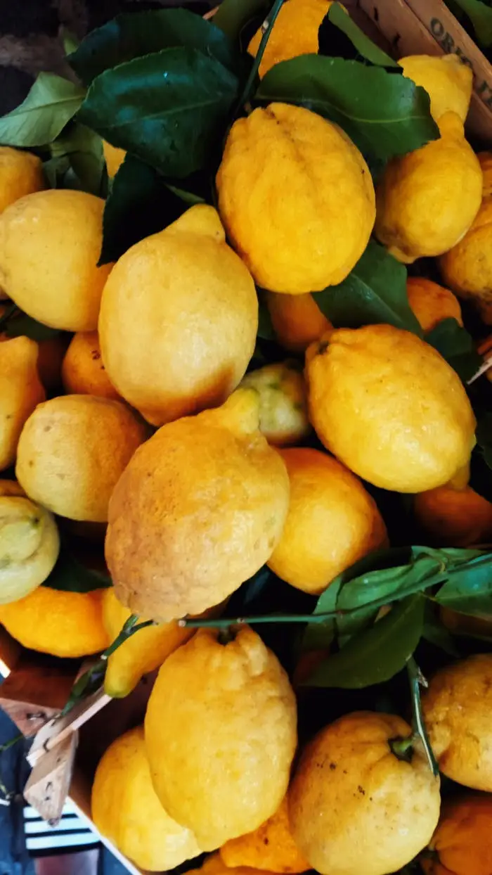 From above of fresh ripe lemons with green leaves placed on counter in shop in daytime